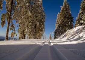 cross-country-ski-trail-1839039