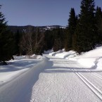 ski-trails-599641_1920
